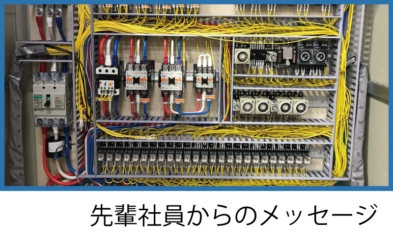先輩社員からのメッセージ