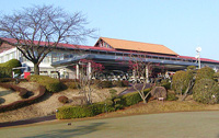 daisagami